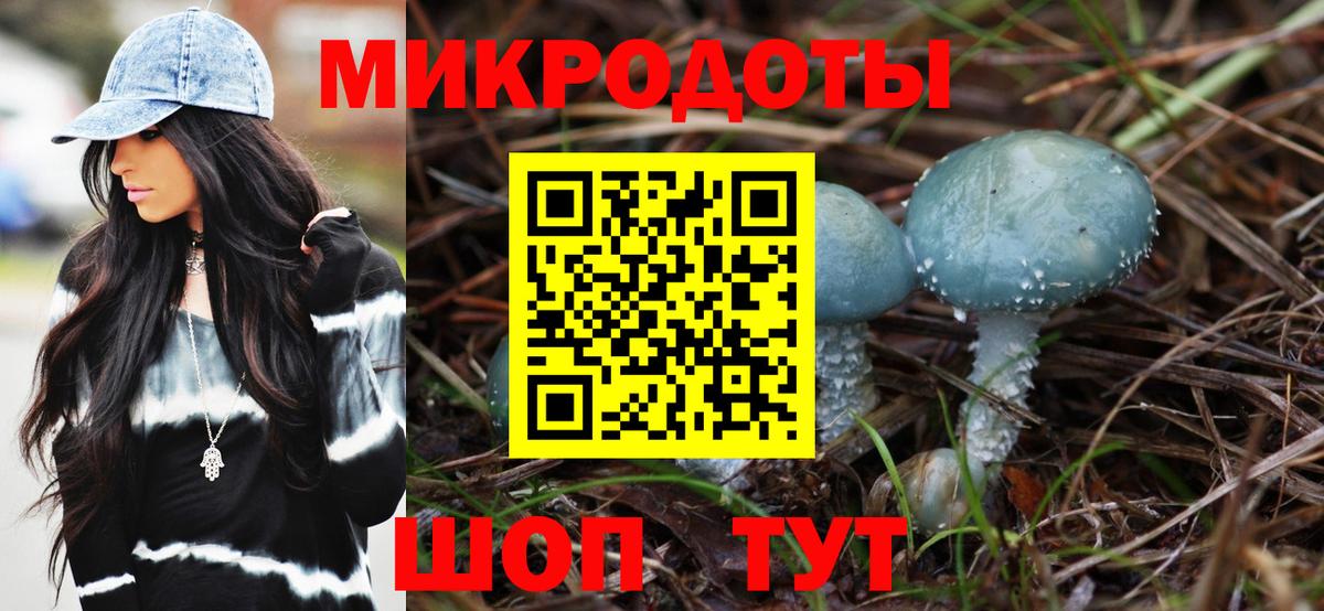 Псилоцибиновые грибы GOLDEN TEACHER  Галлюциногенные грибы GOLDEN TEACHER  Вышний Волочёк  Вход с VPN 