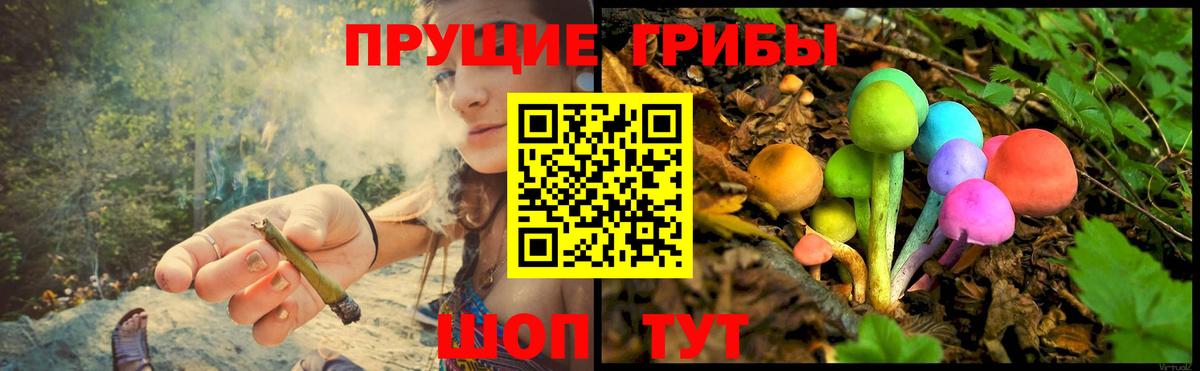 Галлюциногенные грибы прущие грибы Вышний Волочёк